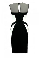  Cocktail dress model 108538 Jersa 